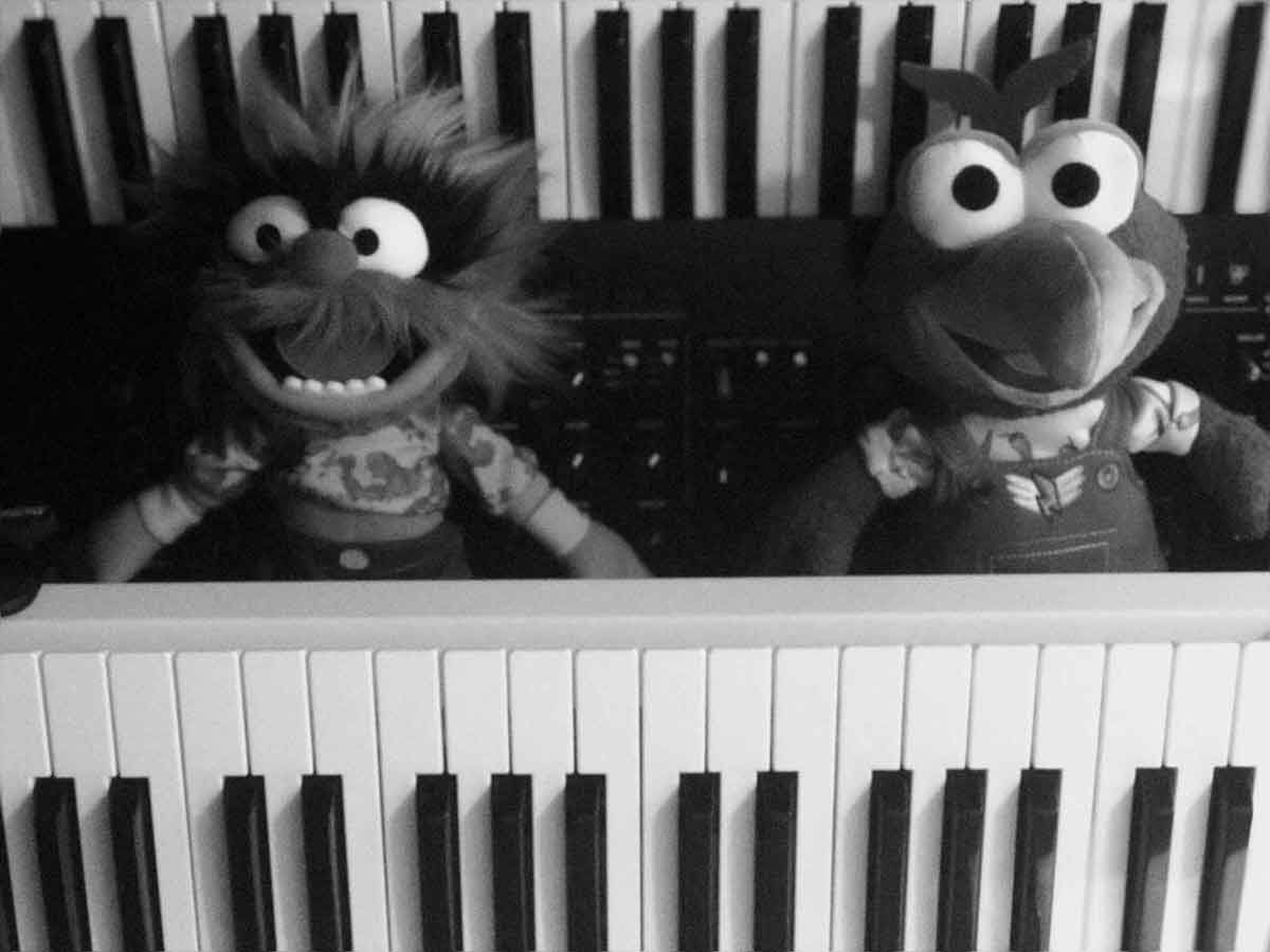 2 muppets among keyboards